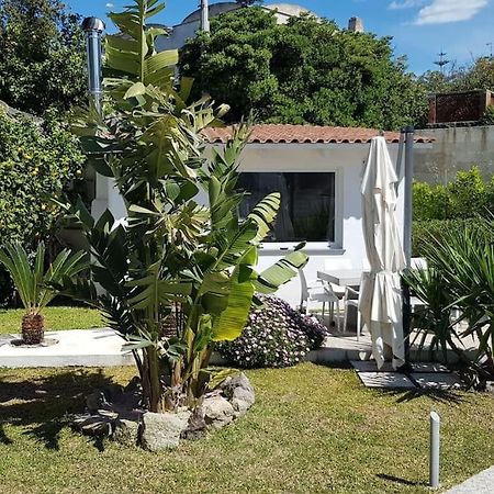 Casa Vacanza M&C Ischia Forio di Ischia Esterno foto