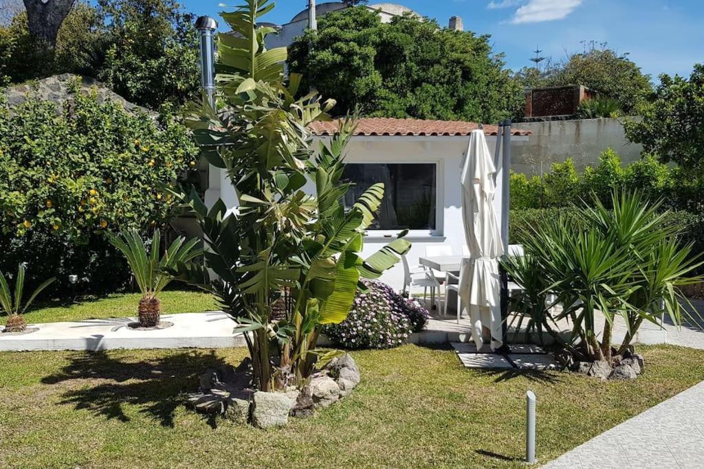 Casa Vacanza M&C Ischia Forio di Ischia Esterno foto