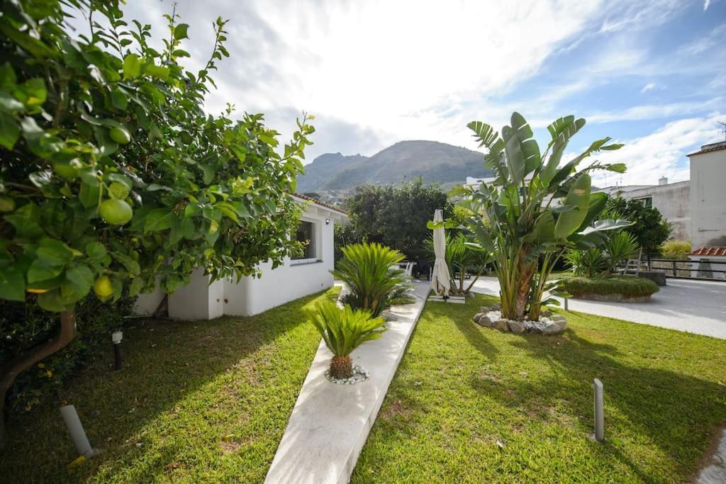 Casa Vacanza M&C Ischia Forio di Ischia Esterno foto